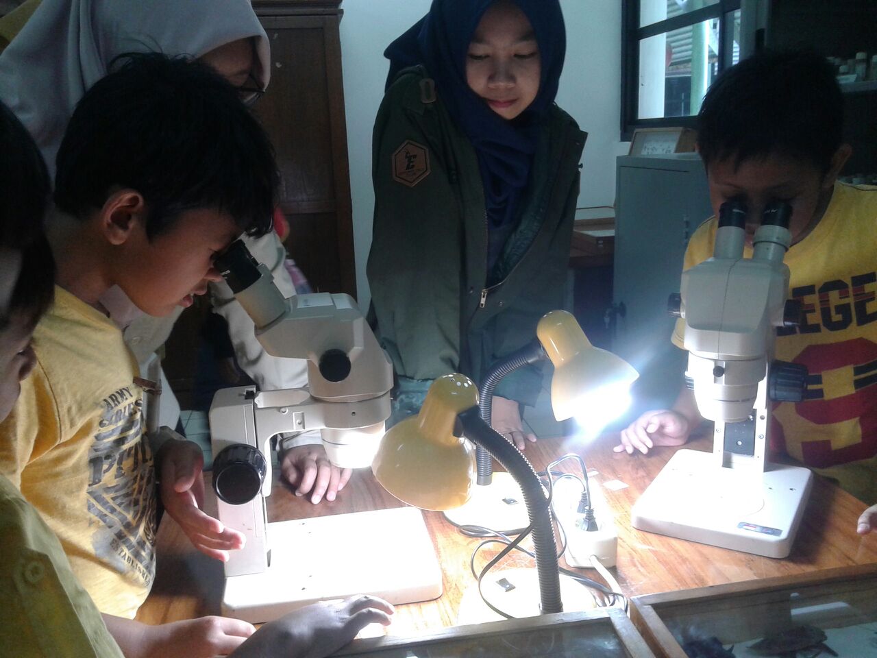 sd3_trip_serangga_ipb02 sd3_trip_serangga_ipb02