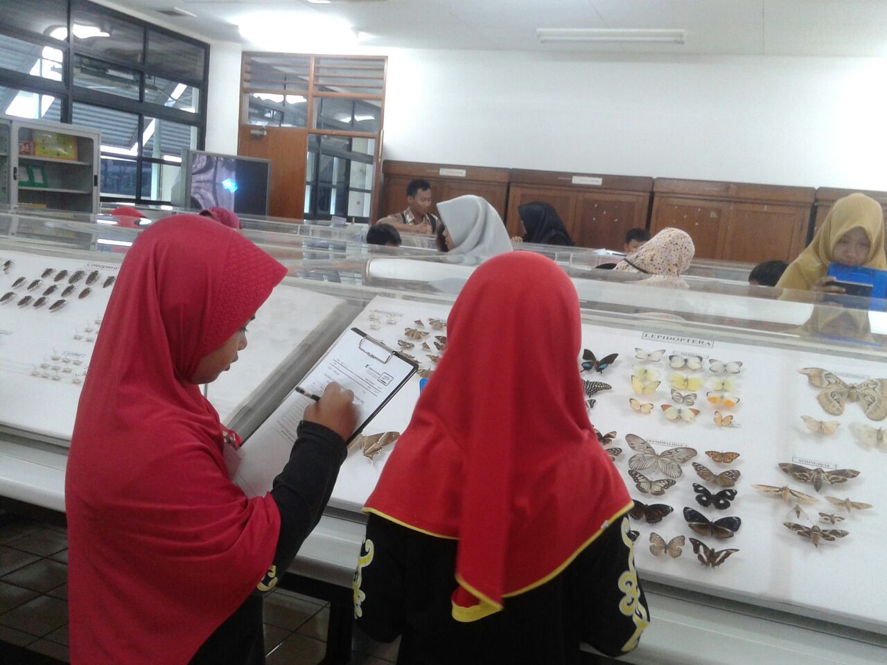 sd3_trip_serangga_ipb01