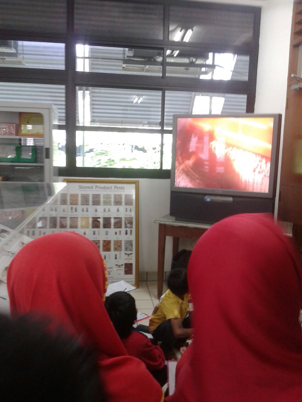 sd3_trip_serangga_ipb11